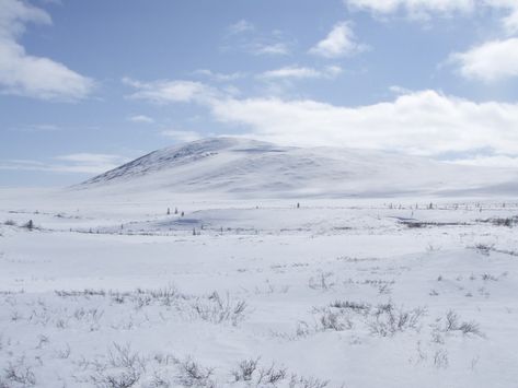 Arctic Tundra, Matte Painting, Dark Places, Avatar The Last Airbender, The Last Airbender, Fantasy Landscape, Aesthetic Pictures, New World, Natural Landmarks