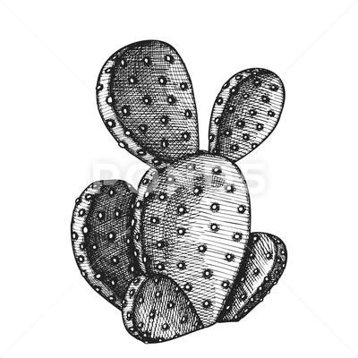 Prickly Pear Cactus Drawing, Opuntia Cactus, Cactus Tattoo, Cactus Drawing, Monochrome Illustration, Scorpion Tattoo, Pear Cactus, Prickly Pear Cactus, Cardboard Art