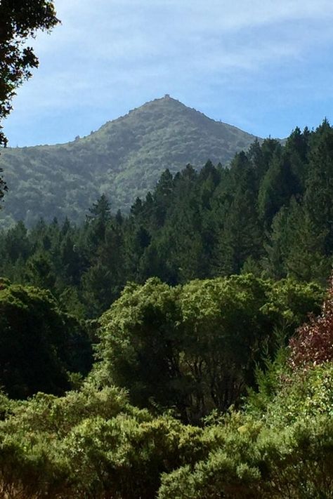 Climb Mt. Tam? Yes, please, I wish to do so as soon as Mount Tamalpais State Park is open on an uncrowded day (could be soon!) Credit: Alessandro Scontrino took this #naturephotography of the #landscape from the hills around Fairfax in Marin County, California. Fairfax California, Mountain Spa, Summer In San Francisco, Southern California Mountains, Mount Shasta California, Mt Tamalpais, Mount Tamalpais, Marin County California, Caribou-targhee National Forest