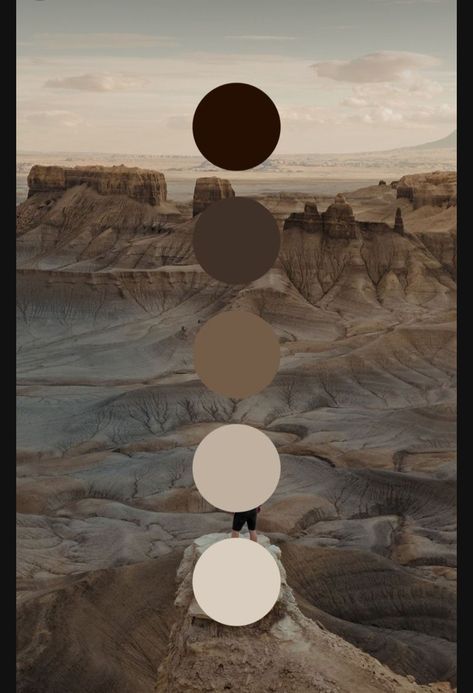 Color Palette For Jewelry, Black And Copper Color Palette, Warm Neutral Palette, Dune Color Palette, Brown And Black Color Palette, Gray And Brown Color Palette, Brown Complimentary Colors, Modern Rustic Color Palette, Western Color Palette