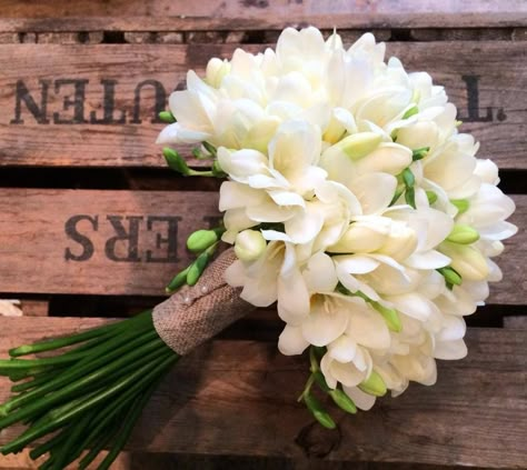 Bridal Bouquet Freesia, Wedding Bouquets Freesia, White Freesia Bouquet, Fresia Bouquet Wedding, Jasmine Wedding Bouquet, Freesias Bouquet, Freesia Wedding Bouquet, Bridal Bouquet Calla Lillies, Freesia Wedding