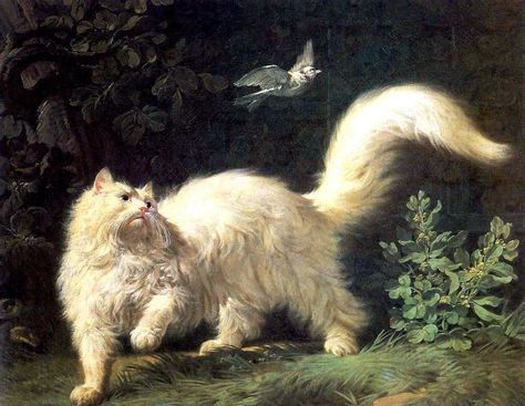 Un Chat Angora by Jean-Jacques Bachelier, (1724–1806). Angora Cat, Libra Moon, Angora Cats, Rennaissance Art, Art Ancien, Old Paintings, Phone Background, Romantic Art, Classical Art