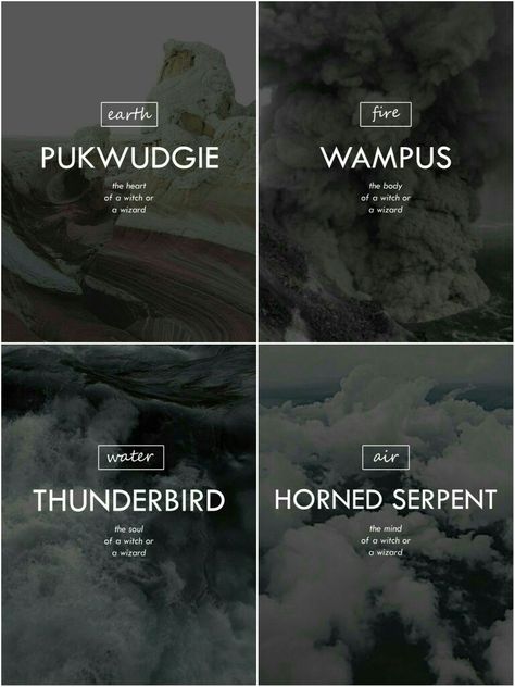 Ilvermorny Houses Pukwudgie Ilvermorny, Harry Potter Ilvermorny, Ilvermorny Aesthetic, Ilvermorny Houses, Horned Serpent, Yer A Wizard Harry, Hogwarts Aesthetic, Harry Potter Anime, Fantastic Beasts And Where