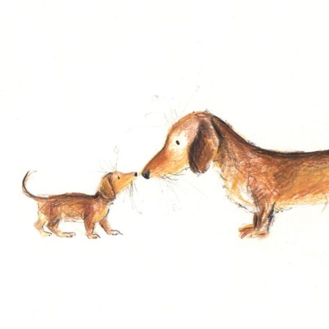 ‘Iona and Maude’ 🐾 The response to my dachshund drawings yesterday was so unbelievably lovely I couldn’t not draw these two tonight. 🤍… | Instagram Dachshund Drawings, Dachshund Sketch, Catherine Rayner, Dachshund Drawing, Dachshund Cartoon, Sausage Dog Puppy, Dachshund Illustration, Doxie Puppies, Scribble Art