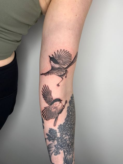 Wren Bird Tattoo, Wren Tattoos, Fairy Wren Tattoo, Fairy Wren Drawing, Wren Tattoo, Superb Fairy Wren Tattoo, Fairy Wren Bird, Superb Fairy Wren, Wren Bird