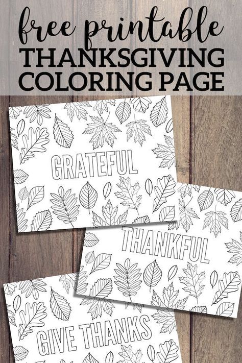 Thanksgiving Coloring Pages Free Printable. Grateful, Thankful, Gratitude, Give Thanks, and Thanksgiving for kids and adults. #papertraildesign #thanksgivingkids #thanksgivingactivity #kidstable #fall #autumn #hellofall Thanksgiving Coloring Pages Free, Thanksgiving For Kids, Free Printable Thanksgiving, Paper Trail Design, Thanksgiving School, Thanksgiving Placemats, Thanksgiving Coloring, Thanksgiving Color, Trail Design