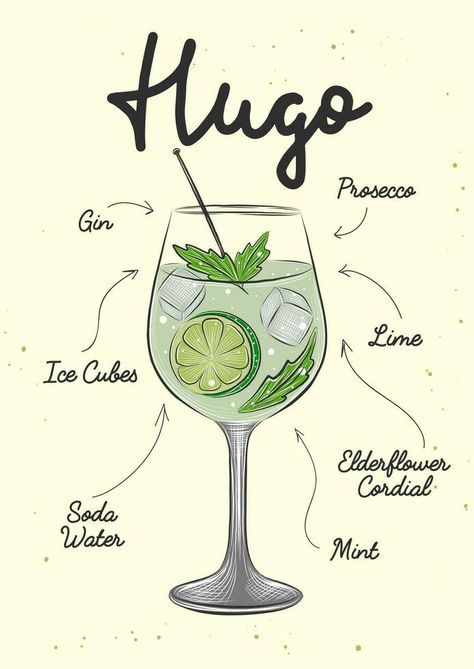 Hugo Drink, Hugo Cocktail, Cocktails Drawing, Drink Menu Design, Decoration Logo, Beverage Poster, Coctails Recipes, Colorful Drawing, Cocktail Drinks Alcoholic