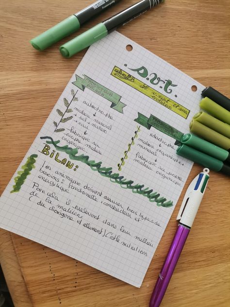 Fiche pour les cours d'svt 👀✨ Goals Bullet Journal, Bullet Journal Ideas Templates, Design Theory, School Organization, School Hacks, Study Motivation, Bullet Journal, How To Plan