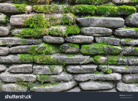 Moss On Brick Wall, Mossy Brick Wall, Wall Green, Band Jokes, Texture Drawing, Geometric Drawing, Moss Art, Art Study, Wall Drawing