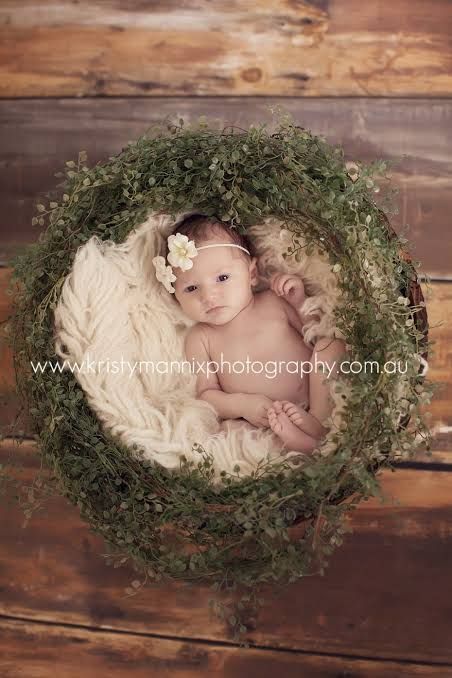 Foto Newborn, Ned Stark, Way Back Home, Digital Imaging, Baby Poses, Newborn Poses, Newborn Shoot, Leaving Home, Newborn Baby Photography