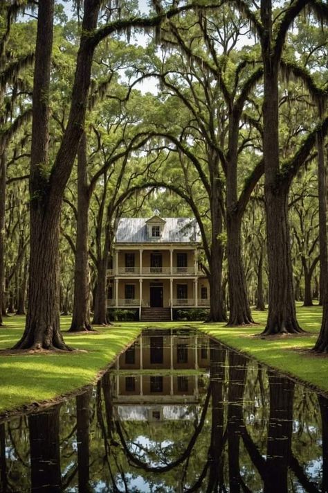 Louisiana Gothic Aesthetic, Louisiana Home Interior, Louisiana Gothic, Louisiana Aesthetic, Louisiana Architecture, Old Southern Plantations, Louisiana House, Louisiana Photography, Abandoned Plantations