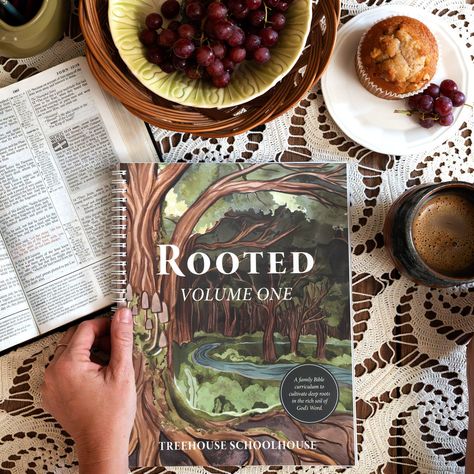 Rooted Family Bible Curriculum, Volume One (Small Group License) – Treehouse Schoolhouse The Good And The Beautiful Curriculum, Homeschool Aesthetic, Preschool Homeschooling, Daily Scripture Reading, Homeschooling Curriculum, Christian Studies, Family Bible, Classroom Idea, Homeschool Books