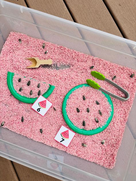 Watermelon Activities, Toddler Sensory Bins, Summer Preschool Activities, Watermelon Crafts, Watermelon Theme, Picnic Theme, Summer Preschool, Toddler Sensory, Daycare Activities