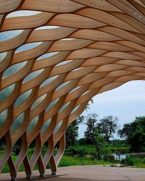 Pond Pavilion, Timber Pavilion, Architecture Structure, Lincoln Park Chicago, Lincoln Park Zoo, Timber Architecture, Pavilion Architecture, Parametric Architecture, Wood Architecture