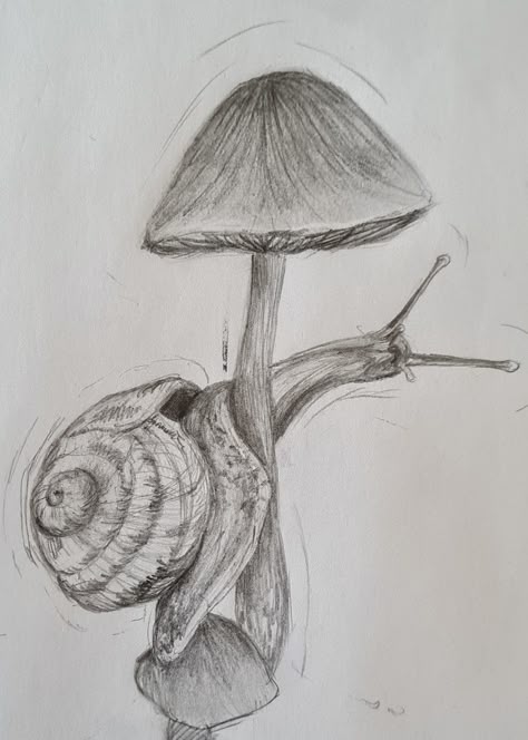 Sketch of a snail¿ #sketch Snail Sketch Simple, Cute Snail Sketch, Snail Painting Acrylic, How To Draw A Snail, Snail Drawing Simple, Snails Drawing, Snail Drawings, Slug Drawing, Snail Sketch