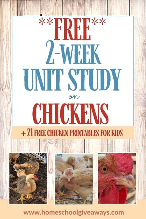 Farm Unit Study, Free Unit Study, Science Unit Studies, Chicken Life Cycle, Study Printables, Elementary Worksheets, Kindergarten Units, Unit Studies Homeschool, Education Tools