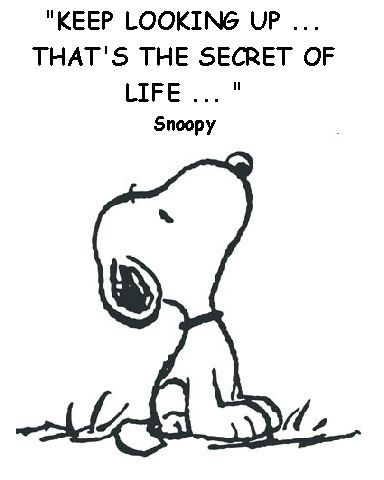 So True The Secret Of Life, Secret Of Life, Image Positive, Lucy Van Pelt, Keep Looking Up, Snoopy Quotes, Snoopy Love, Charlie Brown And Snoopy, After Life