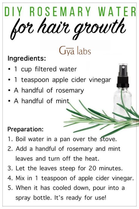 diy rosemary water for hair growth Rosemary Water For Hair Growth, Rosemary Water For Hair, Natural Hair Growth Remedies, Rosemary Water, Healthy Natural Hair Growth, Hair Growth Secrets, Hair Growing Tips, Hair Remedies For Growth, Homemade Hair Products