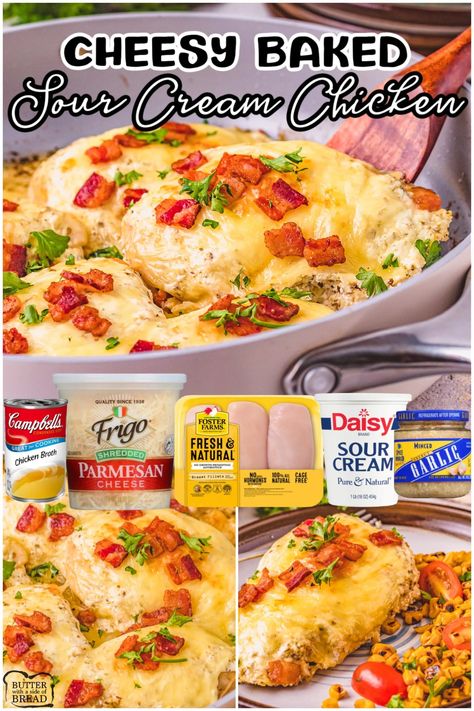 CHEESY SOUR CREAM CHICKEN - Butter with a Side of Bread Cheesy Sour Cream Chicken, June Recipes, Cream Chicken Recipes, Chicken Sour Cream, Sour Cream Recipe, Seasoned Sour Cream, Meat Casserole, Cream Chicken, Sour Cream Chicken