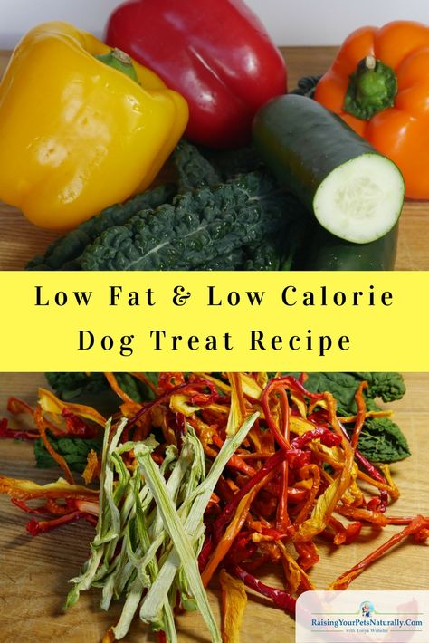 Low Calorie Dog Food, Low Calorie Dog Treats, Low Fat Dog Food, Low Fat Dog Treats, Healthy Homemade Dog Treats, Homemade Dog Cookies, Fat Dog, Dog Treat Recipe, Diy Dog Food