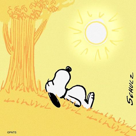 A relaxing Spring day. Charly Brown, Snoopy Comics, Snoopy Funny, Snoopy Images, Peanuts Cartoon, Peanuts Characters, Snoopy Wallpaper, Snoopy Quotes, Snoopy Pictures