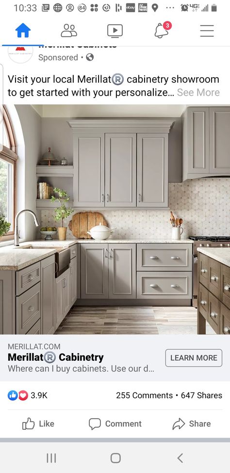 Merillat Cabinets, Kitchen Pantry Design, New House - Kitchen, Cabinet Style, Pantry Design, Kitchen Redo, Crown Molding, Kitchen Pantry, Dream Kitchen