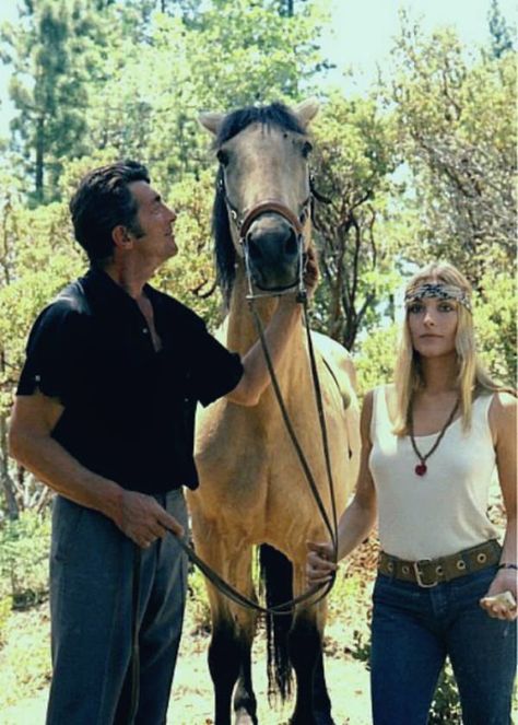 https://flic.kr/p/28rCicZ | Sharon Tate & Dean Martin (1968) | In Joshua National Park The Wrecking Crew, Joey Bishop, Videos Quotes, Sammy Davis Jr, Mia Farrow, Joyful Life, Roman Polanski, Jerry Lewis, Sharon Tate