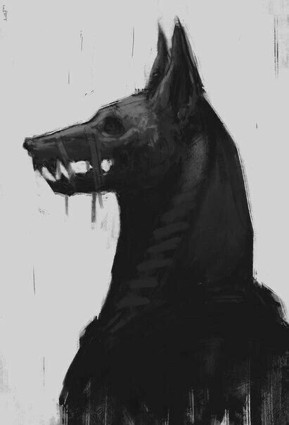 Magic Animals, Skull Dog, Canine Drawing, Scary Drawings, Creepy Drawings, Dark Creatures, Canine Art, Creepy Stuff, Dark Art Illustrations