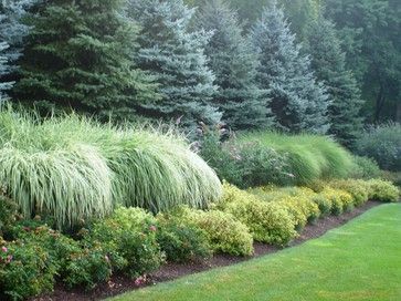 Large conifer trees fronted by large ornamental grasses and medium shrubs and perennials work together to effectively and beautifully screen and provide privacy on this property--by Landscape Design Associates of Westchester, Inc. Landscaping Trees, Privacy Landscaping, Plans Architecture, Backyard Privacy, Grasses Landscaping, Foundation Planting, Easy Landscaping, Garden Shrubs, Have Inspiration