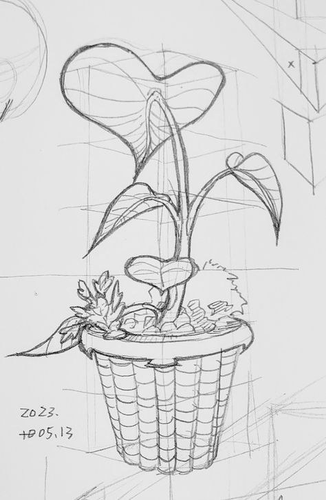 #perspective #practice #plantdrawing Plant Perspective Drawing, How To Draw Flowers In Perspective, Flower Perspective Drawing, Perspective Drawing Practice, Flower Perspective, Perspective Practice, 3 Point Perspective, Plant Sketches, Bush Plant