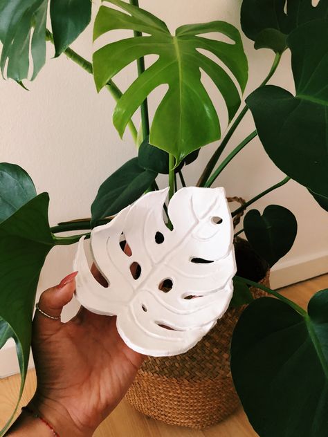 Air Dry Clay Leaves, Air Dry Clay Planter, Air Dry Clay Plant Pot, Air Dry Clay Eucalyptus Leaves, Air Dry Clay Monstera Leaf, Monstera Ceramic, Air Dry Clay Leaf Bowls, Clay Leaf Dish, Pottery Plant Pot