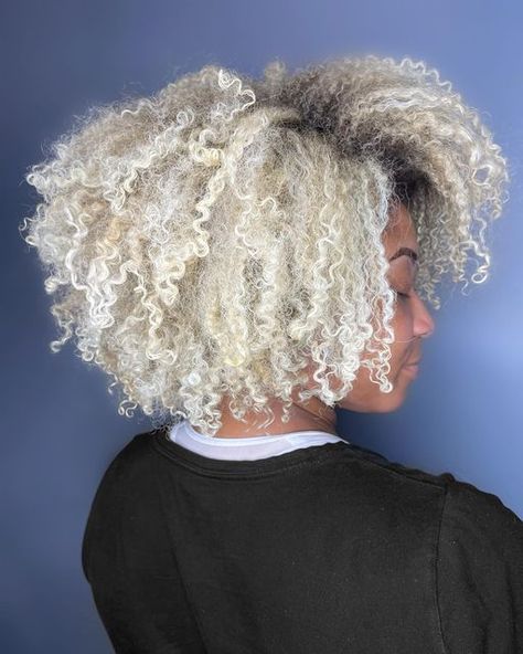 Icy Blonde Hair On Black Women, Platinum Natural Hair, Natural Blonde Highlights Short Hair, White Blonde Highlights On Blonde Hair, Platinum Blonde Hair Natural Black, Platinum 4c Hair, Platinum Natural Curly Hair, Icy Blonde Curly Hair Natural, Platinum Blonde Afro