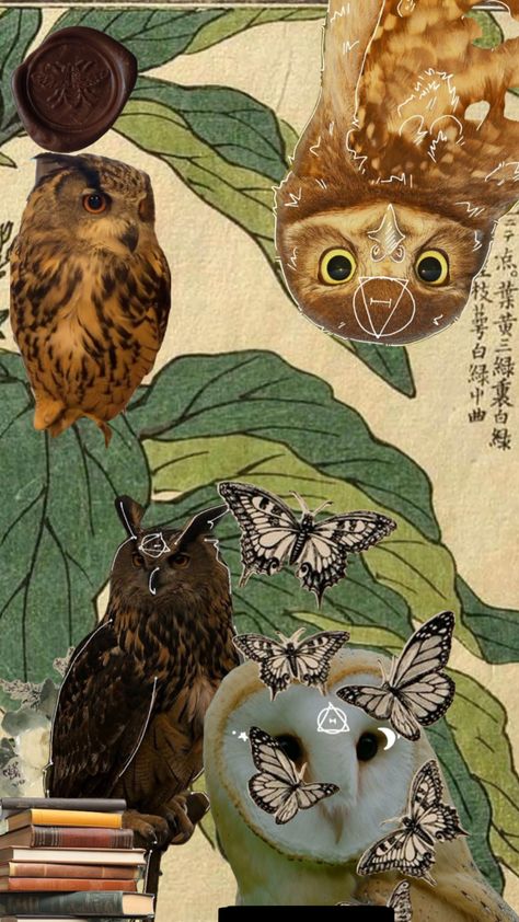 #therian #owl #collage Owl Therian, Owl Collage, Text Background, Collage, Animals