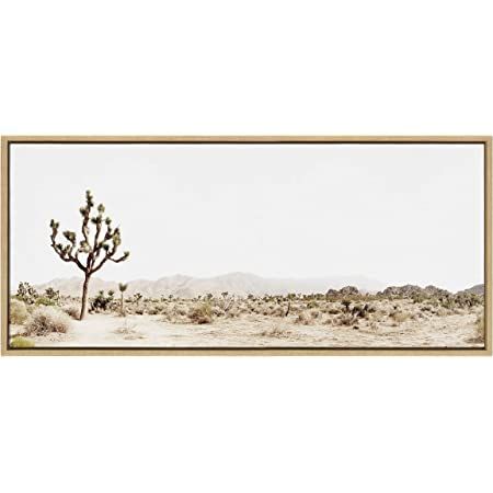 Desert Landscape Art, Artistic Landscape, Landscape Aesthetic, Succulent Wall Art, Canvas Photo Prints, Nature Wall, Gallery Frame, Nature Wall Art, Framed Canvas Wall Art