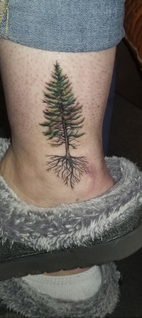 Evergreen State Tattoo, Tree Tattoo Green, Redwood Tree Tattoo, Evergreen Tattoo, Evergreen Tree Tattoo, Tree Roots Tattoo, Tattoos 2024, Lake Tattoo, State Tattoos