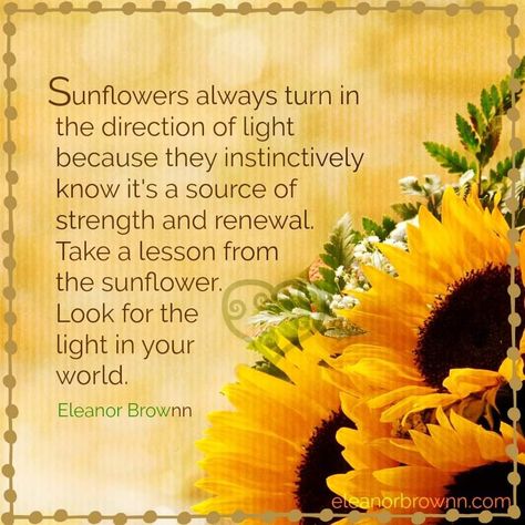 Meaning Of Sunflower, Sunflower Quotes, Sunflower Pictures, Sunflower Wall Art, Quotes Ideas, Flower Meanings, Sunflower Wallpaper, Sunflower Art, Friend Quotes