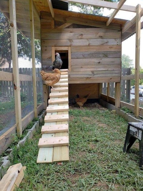 Easy Chicken Coop With Run, Pallet Chicken Coop Ideas Diy, Chicken Run Out Of Dog Kennel, Chicken Coop Sloped Yard, Amazon Chicken Coop, Simple Large Chicken Coop, Slanted Roof Chicken Coop, Chicken Coop Ramp Ideas, 6 Chicken Coop Plans