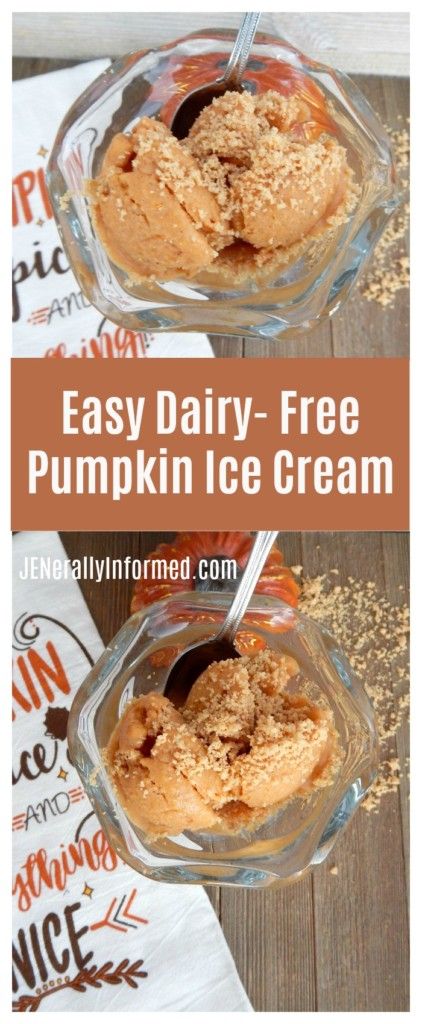 Delicious Dairy Free Pumpkin Ice Cream - Jenerally Informed Dairy Free Pumpkin Ice Cream, Paleo Pumpkin Ice Cream, Gluten Free Pumpkin Desserts, Churro Ice Cream Sandwich, Dairy Free Pumpkin Pie, Oreo Ice Cream Cake, Pumpkin Pie Ice Cream, Pie Ice Cream, Dairy Free Pumpkin