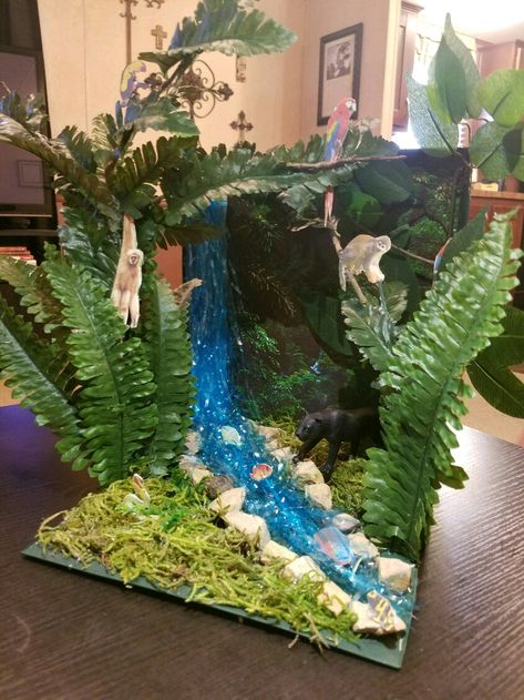 Black Panther Diorama Project (Rainforest Habitat) Rainforest Shoebox Habitat, Rainforest Box Project, Jungle Diaroma, Rainforest Habitat Shoebox Project, Rain Forest Diorama For Kids, Rain Forest Biome Project, Shoebox Ecosystem Project, Rainforest Diarama Ideas Kids, Rain Forest Habitat Project For Kids