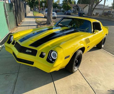 1978 Chevrolet Camaro, owned by @thechevybros  Fun Fac 1978 Camaro, Chevy Cars, Auto Retro, Pony Car, American Muscle, Toy Trucks, Chevrolet Camaro, Cool Cars, Chevy