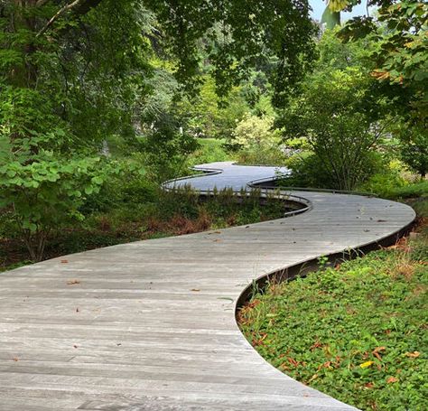 Public Landscapes | Julie Moir Messervy Design Studio Meandering Path, Wood Path, Wooden Path, Natures Path, Master Planning, Walkway Landscaping, Planting Design, Landscape Inspiration, Path Design