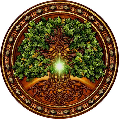 Celtic Oak Tree Shield Celtic Oak Tree, Faerie Art, Tattoo Concepts, Sacred Tree, Illustration Botanique, Celtic Knotwork, Celtic Style, Celtic Tree, Asian Design