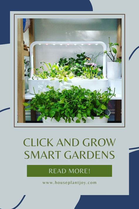 Gardening can be delightful, but challenging without time or energy. Thanks to current technology, indoor gardening is now much easier! 🌿 Click and Grow Smart Gardens make it simple for busy people to enjoy the benefits of gardening without the hassle. #SmartGardens #IndoorGardening #BusyLifestyle #GardeningHacks Click And Grow, Indoor Farming, Benefits Of Gardening, Smart Garden, Busy People, Indoor Gardening, Smart Tech, Grow Your Own, Fresh Herbs