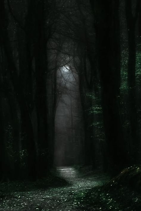 Dark Forest Aesthetic Night Moon, Earthy Wallpaper Phone, Dark Earthy Aesthetic, Paradis Sombre, Dark Naturalism, Dark Forest Aesthetic, Dark Castle, Dark Landscape, Dark Green Aesthetic