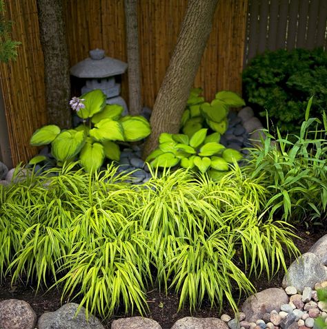 Dry Creek Bed Landscape Front Yards, Japanese Zen Garden Landscaping, Backyard Corner, Hakone Grass, Japanese Gardens Design Ideas, Japanese Garden Decor, Japanese Style Garden, Japanese Garden Ideas, Small Japanese Garden