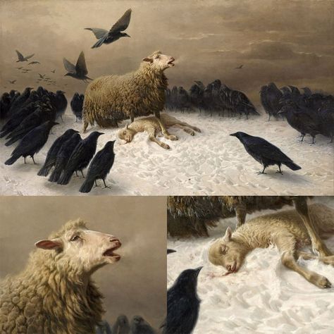 In 'Anguish' (1878) by August Friedrich Albrecht Schenck, a mother sheep mourns over her dead lamb. She stands protectively over her lamb, defying the threatening crows that encircle it. Blood seeps from the lamb's mouth into the snow, and the mother sheep's breath forms ghostly puffs in the cold air. Despite her bravery, the scene exudes a sense of hopelessness.  🐑  A notable aspect of the painting is the mother sheep's distinctly human-like expressions of determination and sorrow. These emotions vividly express her helplessness. The ominous crows, deemed 'ill-fated,' gather around, waiting for a vulnerable moment to attack the lamb. Through this animal metaphor, the artist also depicts a universal human experience. 🎨  #painting #oilpainting #famousartists #arthistory #art August Friedrich, Crow Painting, Ap Drawing, Mother Painting, Sheep Paintings, Academia Aesthetics, Coffee Wallpaper, Human Experience, Famous Artists