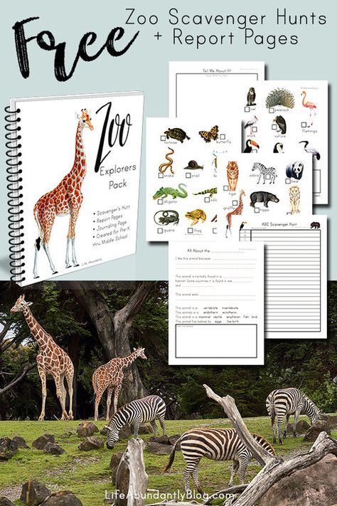 Zoo Printables, Zoo Field Trip Activities Free Printable, Homeschool Zoo Trip Free Printable, Zoo Activities For Middle School, Zoology Activities For Preschool, Zoo Homeschool Trip, Zoo Unit Study, Preschool Homeschool Units, Homeschool Zoo Trip Activities