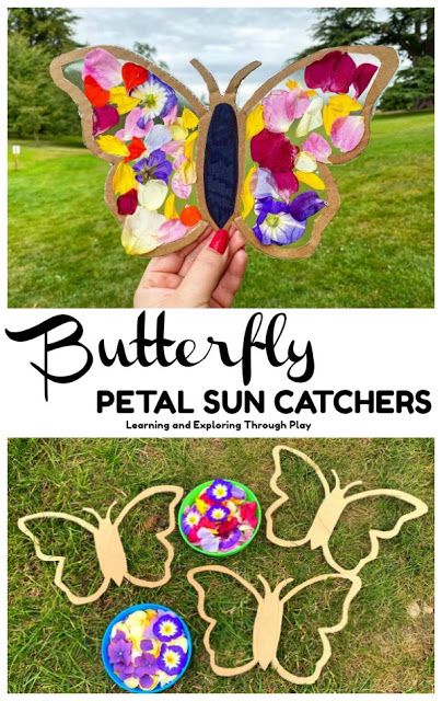 Sun Catcher Craft, Butterflies Classroom, Play Ideas For Kids, Butterfly Science, Sensory Play Ideas, Butterflies Activities, Flower Pedals, Insect Crafts, Suncatcher Craft