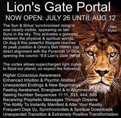 Margaret Jamison on Instagram: "I think many people are beginning to feel the effects of the opening of the Lion’s Gate Portal" Orion's Belt, Lions Gate, Conscious Awareness, Pyramids Of Giza, Cosmic Energy, Psychic Readings, Psychic Abilities, Empath, Book Of Shadows