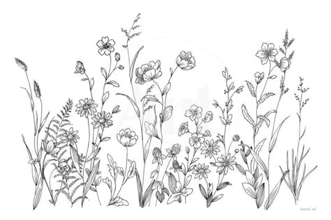 'Black and White Garden' Art Print - Danhui Nai | Art.com Plant Illustration Black And White, Wild Flowers Embroidery, Wild Flower Drawings, Garden Line Art, Nature Line Drawing, Wildflower Doodles, Black And White Garden, Line Art Geometric, Book Tattoo Ideas